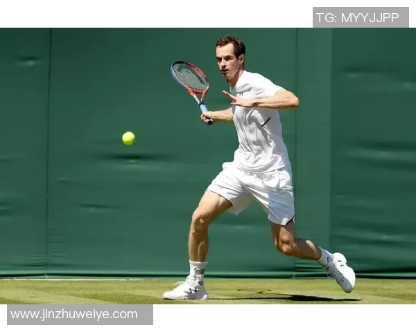 从零起步掌握网球力量技巧与训练方法的全面指南 从零起步掌握网球力量技巧与训练方法的全面指南